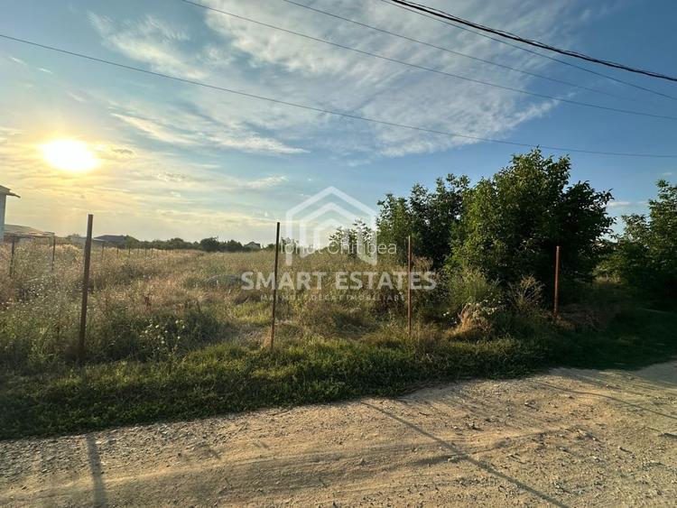 Teren Intravilan 1000 mp - Comuna Jilava - Comision 0%