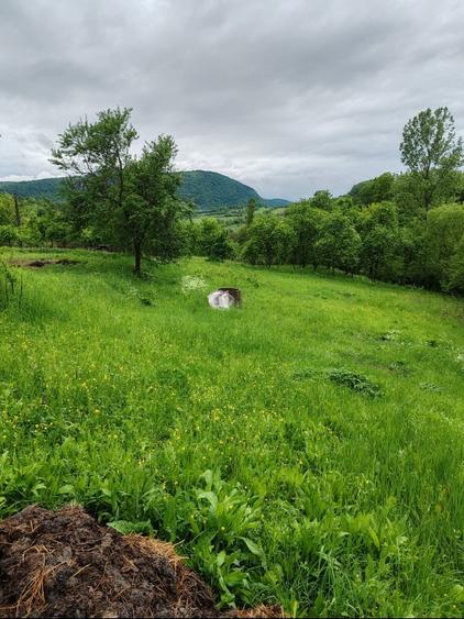 Vand casa batraneasca sat trestia com baita - 3