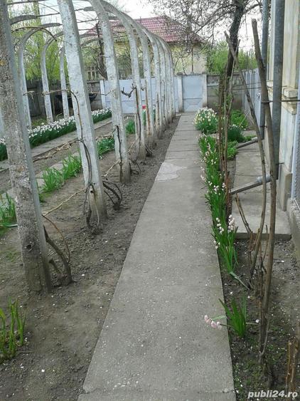 Vand casa com.Vadastra jud. Olt - 1