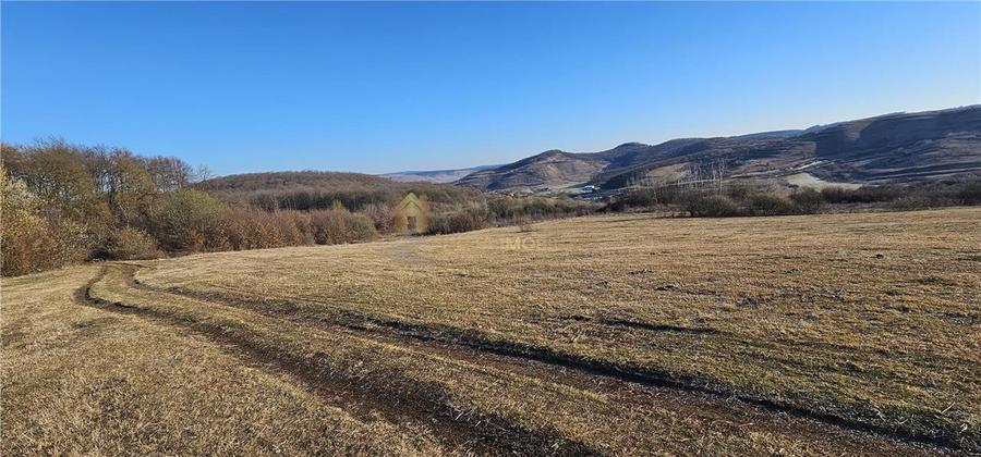 TEREN EXTRAVILAN 6119 MP TAUTI - 4