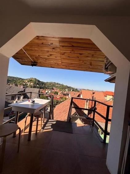 Studio deschis si la regim hotelier, priveliste frumoasa, pet friendly, loc parc - 3