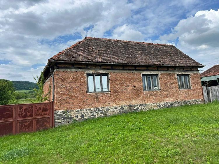 Vand Casa in Revetis, judetul Arad, teren 2880 mp, fantanta + curent - 6