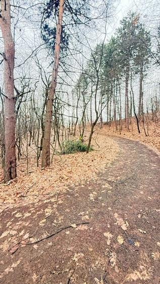 OPORTUNITATE - TEREN PENTRU PARC DISTRACTII!!! - 1