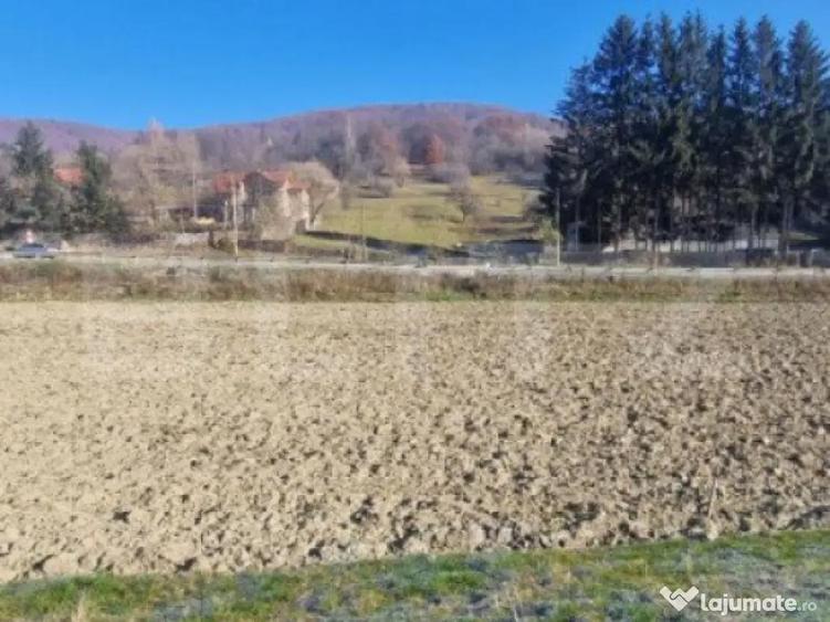 Teren extravilan - Sita Buzaului -6800 mp posibilitate trece - 10