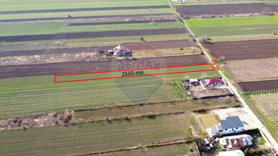 Teren Vanatori Strada Crizantemelor - 3