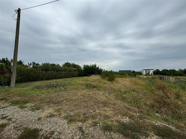 Teren intravilan in Golesti in suprafata de 731mp - 1