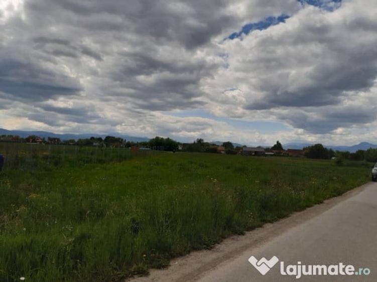 Teren intravilan construibil zona rezidentiala Lunca Calnicului 2325mp - 13