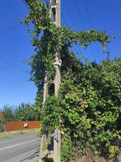 Vanzare Teren Intravilan 2.001 mp. cu utilitati ~ Isaccea ~ Centru - 4