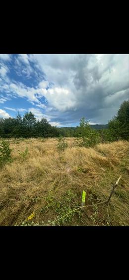 Vand teren extravilant Breaza - 5