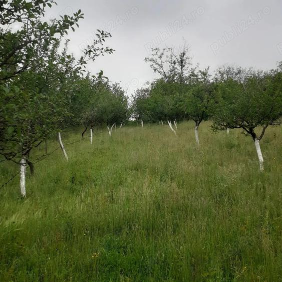 Casa de vanzare- pre? negociabil - 5