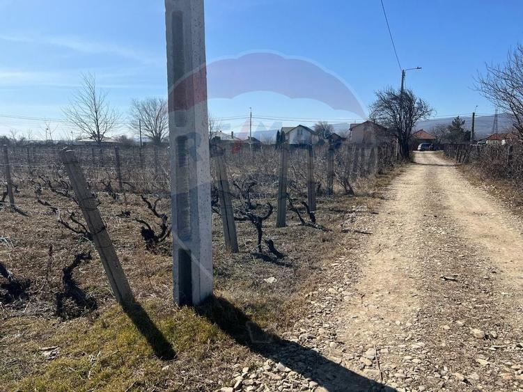 Teren intravilan Unirea Odobesti / Strada Grozesti - 2