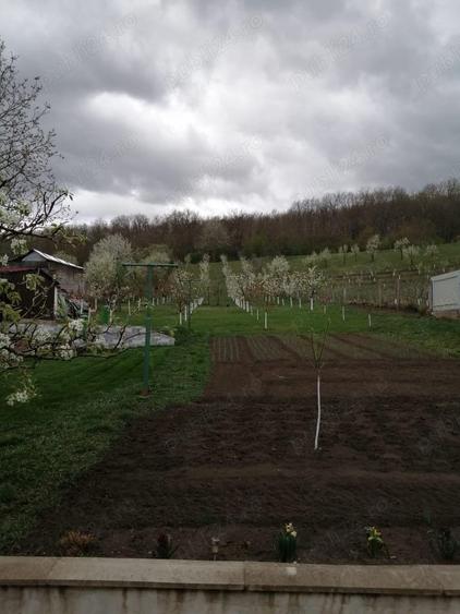 Casa de vanzare in Ora? Ludu?, str. Avrame?ti - 7