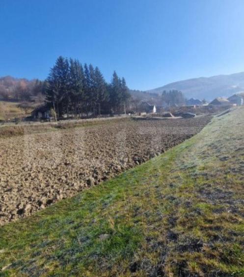Teren extravilan - Sita Buzaului -6800 mp posibilitate trece - 13