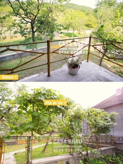 Casa mare cu ~4000mp teren plat, in zona verde, linistita, in orasul Brad, HD - 6