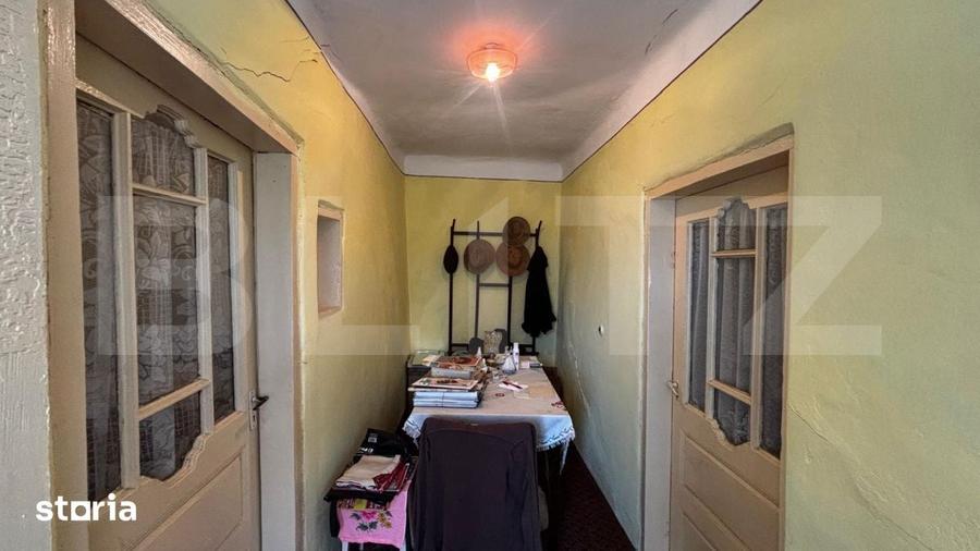 Proprietate cu 2 case, 3.345 mp teren, Balota de Jos, comuna Murgasi - 8