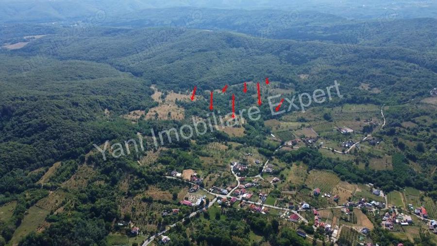 Teren de vanzare in comuna Baicule?ti, sat Valea lui Enache, jude? Arge?. - 6