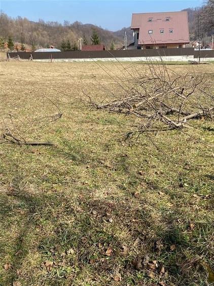 Teren de vanzare pentru constructii Slanic Moldova - 3