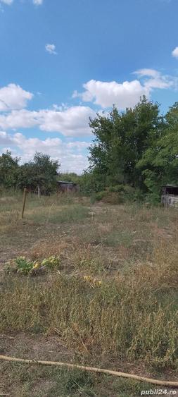 Casa la ?ara jud. Giurgiu, 4 camere, curte 4000 mp - 8