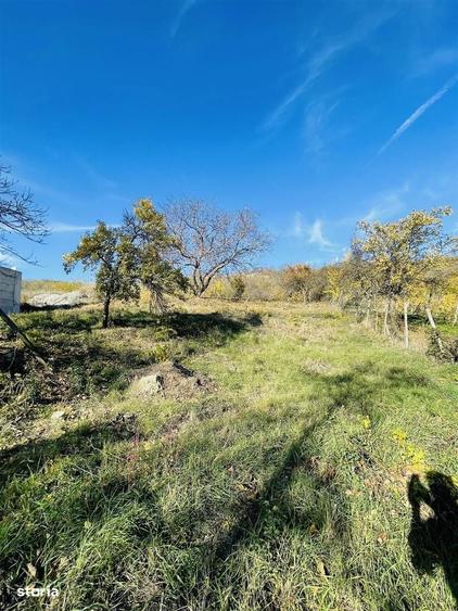 Teren de vanzare intravilan Oradea - 1