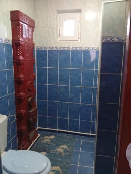 Casa cu teren - Sat Popeni Com. Braiesti - 4