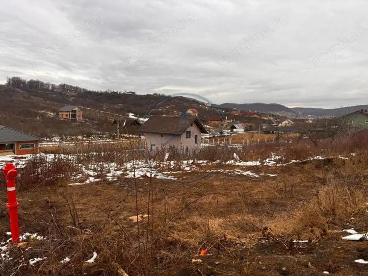 Teren Intravilan 550mp Valea Rusului - 4