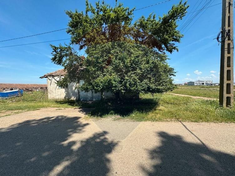 Teren 11404 m2 , Biharia la 1km de autostrada A3 si 300m de centura - 2