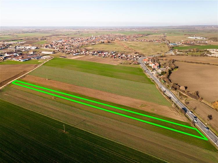 RECO teren 5000mp cu deschidere la DN19 Tamaseu - 3