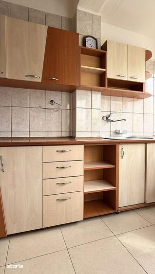 Inchiriere apartament 2 camere in vila cu curte Parcul Circului - 7