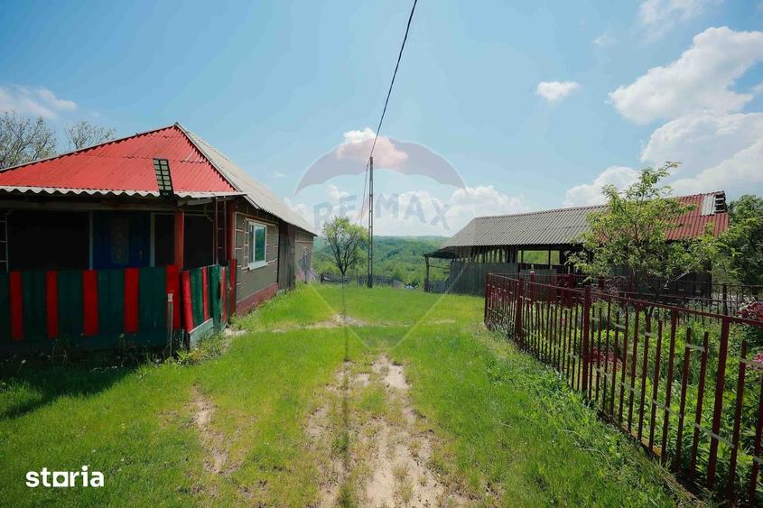 Casă cu 5 camere cu Teren 55706 Mp în Șinteu