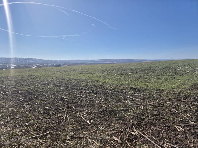 Teren intravilan de 6000 mp, în Șcheia