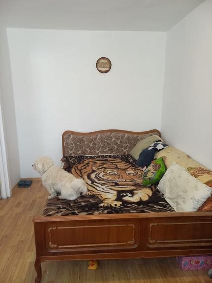 Apartament cu 2 camere în Coman