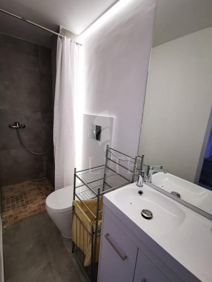 Apartament o camera în zona STRAZII REGELE FERDINAND - 9