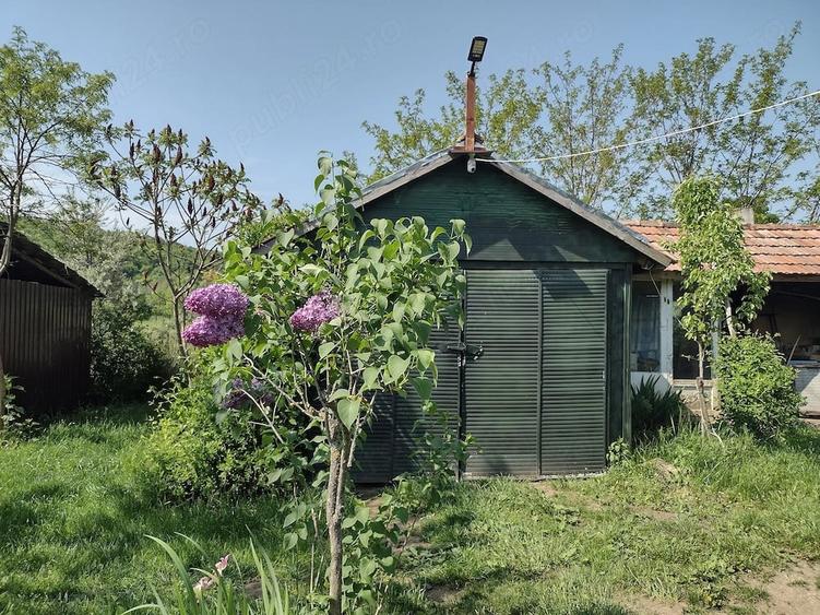 Teren de 4000 mp, în Pietroasa