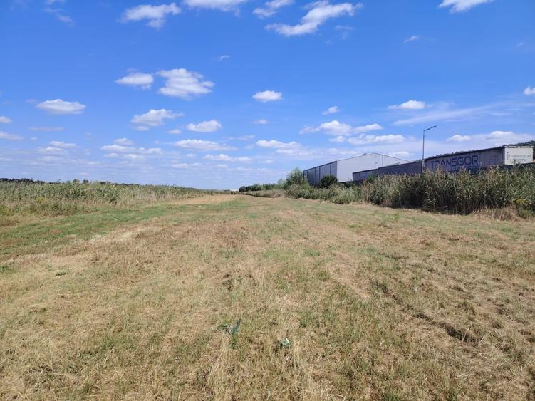 Teren Construcții intravilan de 10000 mp, în Tomești
