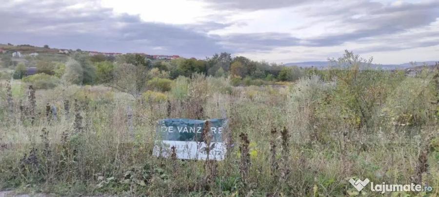 Teren de 1900 mp, în Borhanci