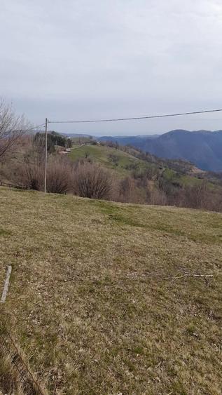 Teren de 2000 mp, în Dobra