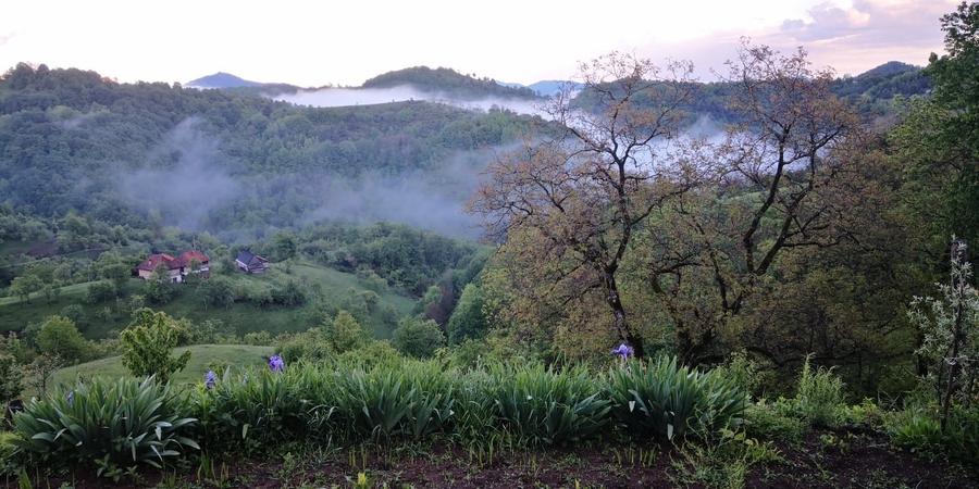 Vand casa de lemn la munte - 12