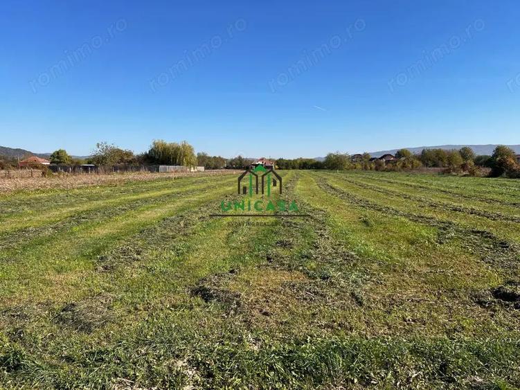 Teren intravilan/Str Balciului/Copacelu - 6