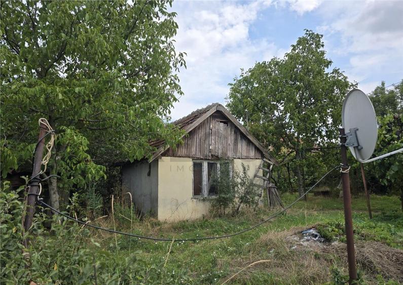 RECO IMOBILIARE CASA BATRANEASCA TINCA - 9