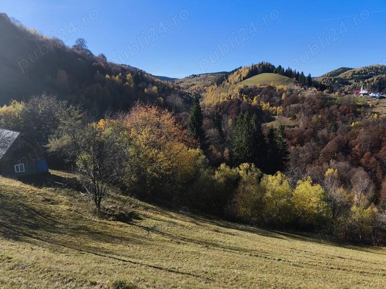 Vand casa din lemn + teren - 2