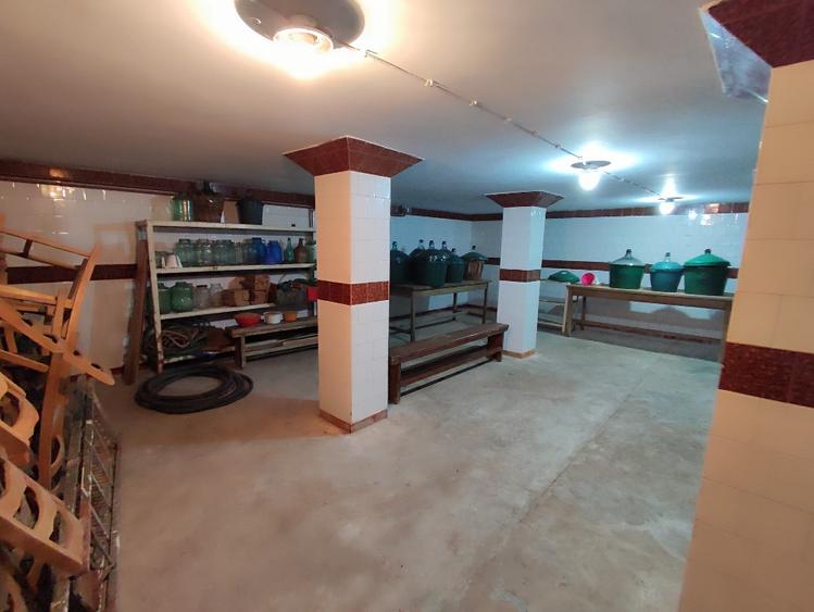 Proprietar: Vilă 480mp pe Drumul Vinului, Ideal Investiție / HoReCa - 10