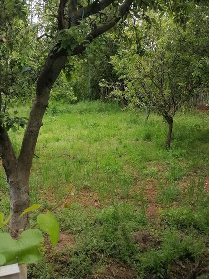 vand casa Bugeac,com Ostrov,jud Constanta 70.000 lei - 3