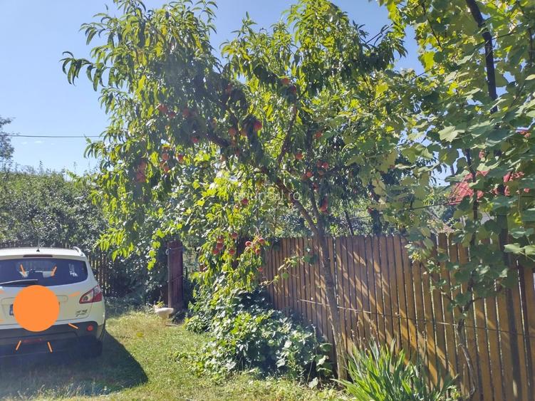 Valea Danului, Curtea de Arges