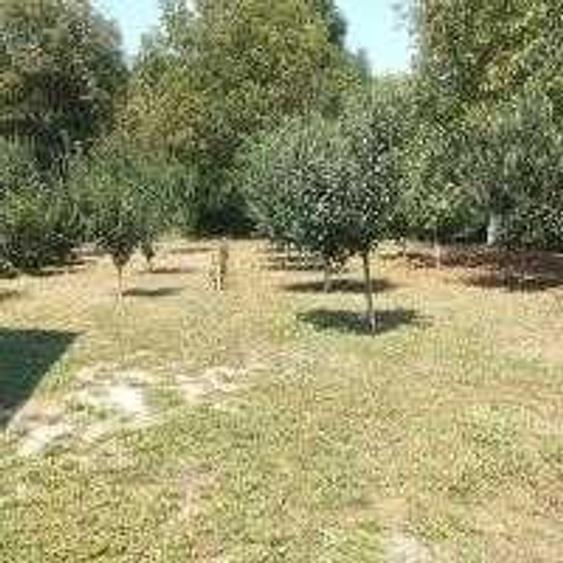 Vand casa in Tara Hategului. - 1