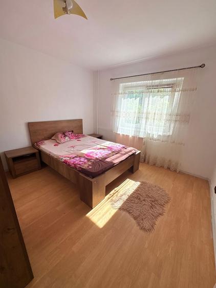 Proprietar apartament 2 camere decomandat, etaj 2, langa Shopping City Timisoara | Mutare imediata - 7