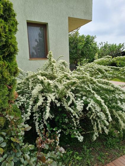 Casa la cheie zona rezidentiala in oras - 2