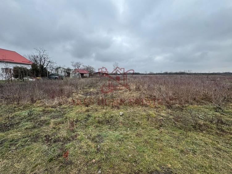 Teren 5.752 mp lângă Aeroport – ideal hală, logistică, depozit - 5