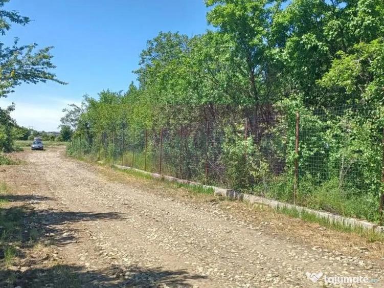 Sabareni, lot de casa 500 mp, curent langa teren - 5