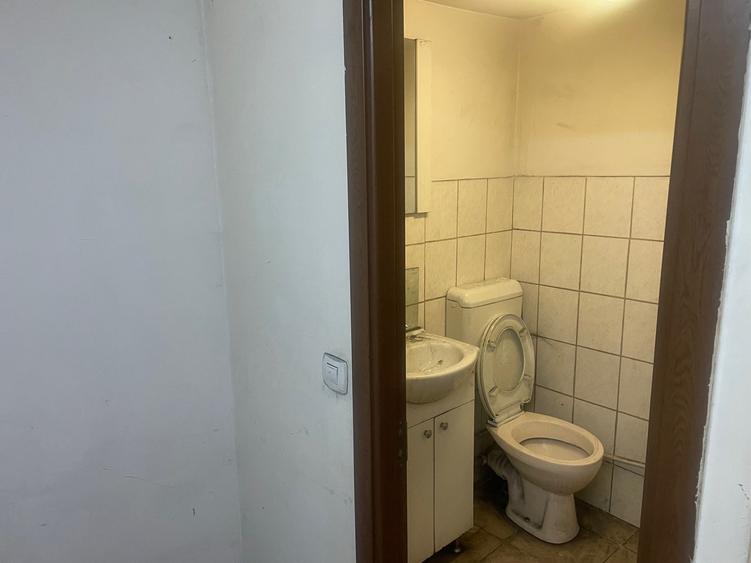 Mitropolie-Parc Carol 2 Camere Ideal Birou - 10