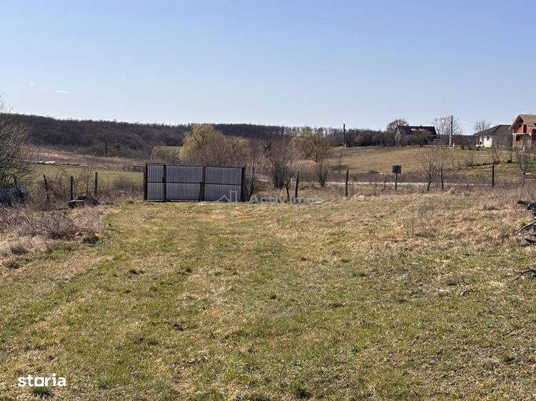 Domeniu cu lacuri de pescuit - cabane si livada - Oportunitate rara l - 5